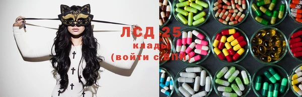 ПСИЛОЦИБИНОВЫЕ ГРИБЫ Армянск